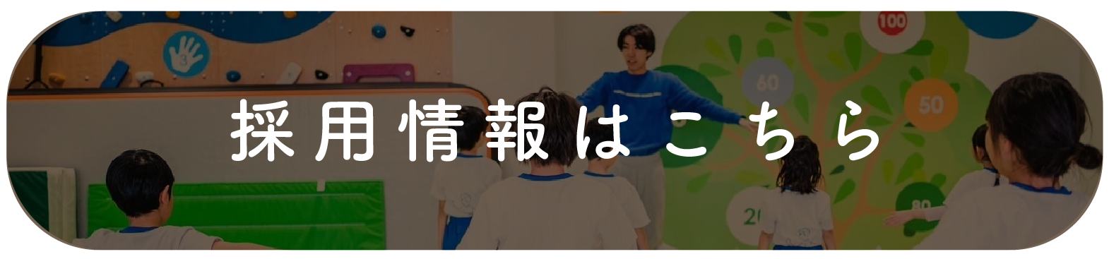 採用情報はこちら