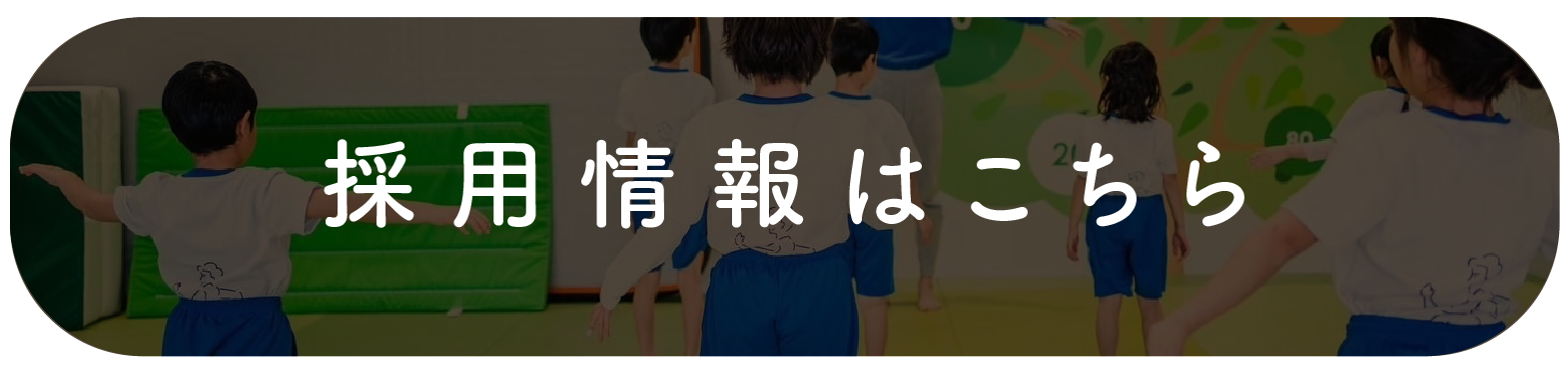 採用情報はこちら